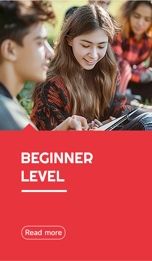 Beginner level